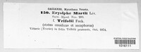 Erysiphe trifolii image